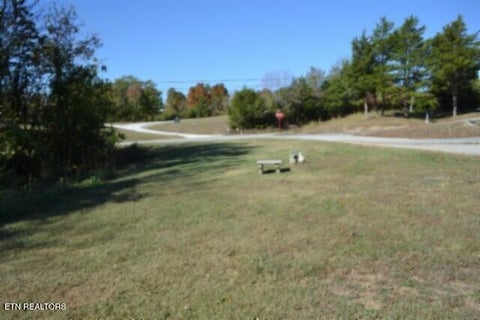 Tiny photo for 796 Old State Hwy 52, Celina, TN 38551 (MLS # 1360298)