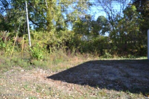 Tiny photo for 796 Old State Hwy 52, Celina, TN 38551 (MLS # 1360298)