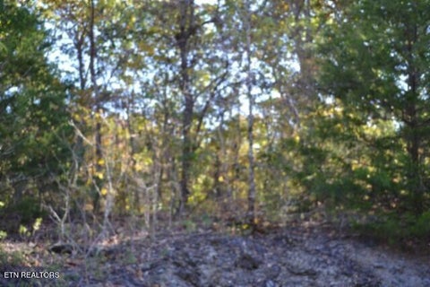 Tiny photo for 796 Old State Hwy 52, Celina, TN 38551 (MLS # 1360298)