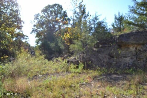 Tiny photo for 796 Old State Hwy 52, Celina, TN 38551 (MLS # 1360298)