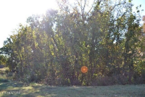 Tiny photo for 796 Old State Hwy 52, Celina, TN 38551 (MLS # 1360298)