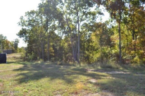 Tiny photo for 796 Old State Hwy 52, Celina, TN 38551 (MLS # 1360298)