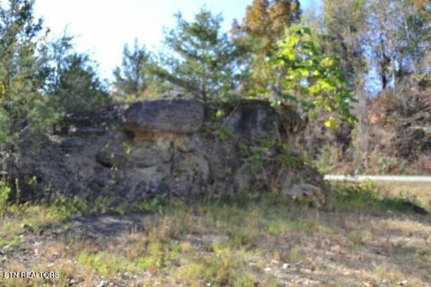 Tiny photo for 796 Old State Hwy 52, Celina, TN 38551 (MLS # 1360298)
