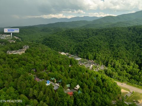 Tiny photo for 314 Brown Wren Way, Gatlinburg, TN 37738 (MLS # 1342170)