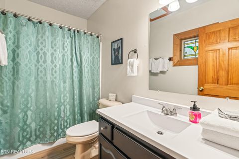 Tiny photo for 314 Brown Wren Way, Gatlinburg, TN 37738 (MLS # 1342170)