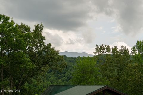 Tiny photo for 314 Brown Wren Way, Gatlinburg, TN 37738 (MLS # 1342170)