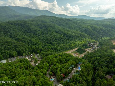 Tiny photo for 314 Brown Wren Way, Gatlinburg, TN 37738 (MLS # 1342170)