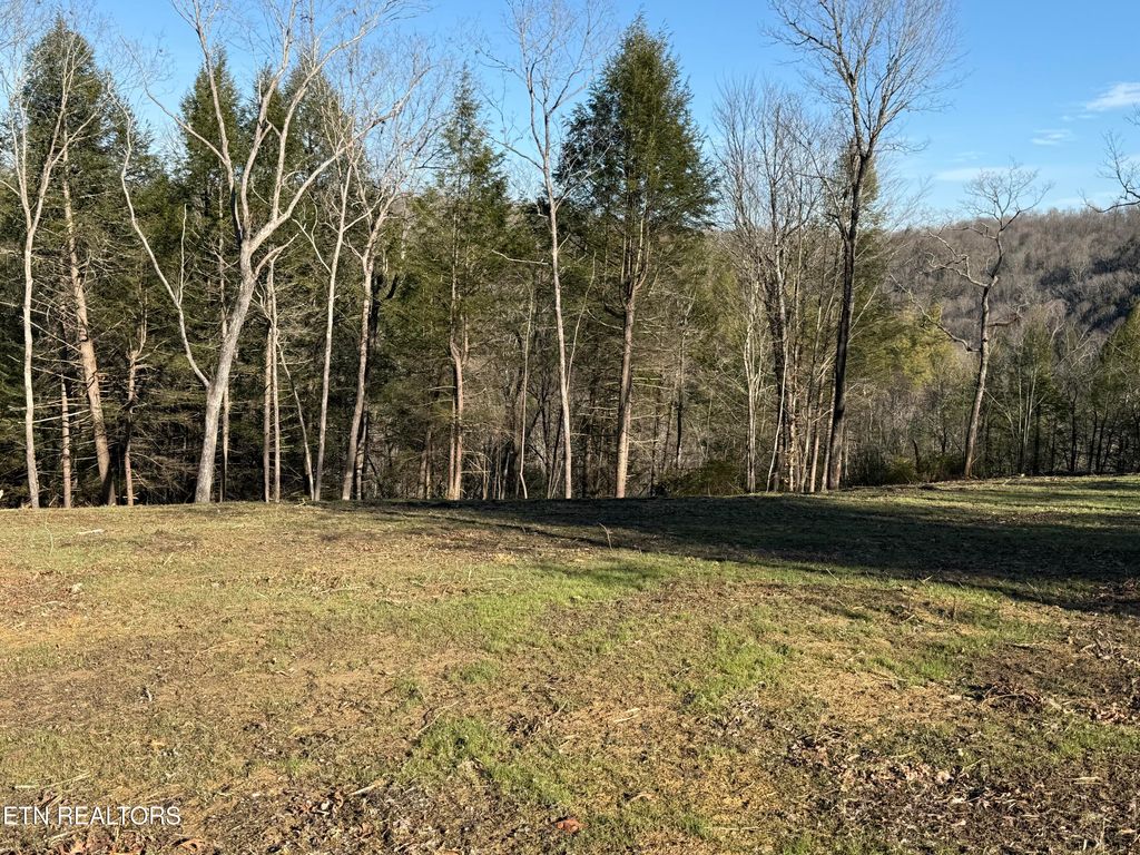 Photo of 20 Bluff View, Allardt, TN 38504 (MLS # 1327708)
