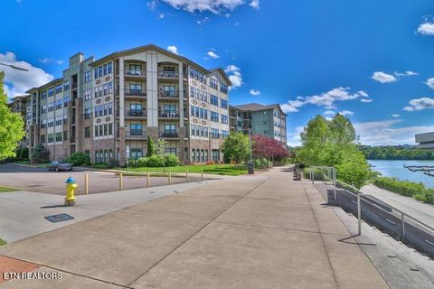 Tiny photo for 445 W Blount Ave #105, Knoxville, TN 37920 (MLS # 1337093)