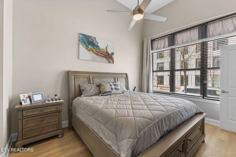 Tiny photo for 445 W Blount Ave #105, Knoxville, TN 37920 (MLS # 1337093)