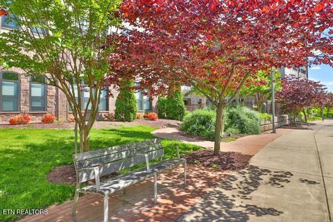 Tiny photo for 445 W Blount Ave #105, Knoxville, TN 37920 (MLS # 1337093)