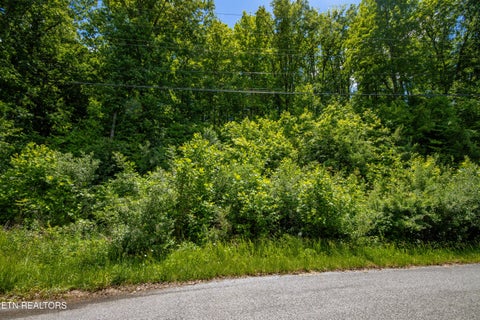 Photo of 18 Saddleridge, Speedwell, TN 37870 (MLS # 1355479)