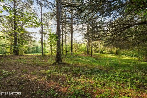 Tiny photo for 1119 County Road 130, Riceville, TN 37370 (MLS # 1340009)