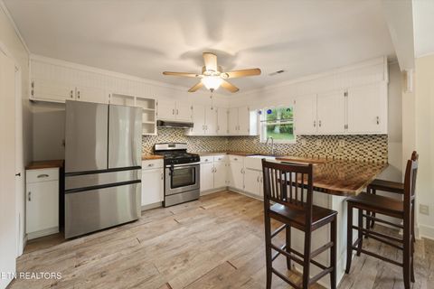 Tiny photo for 1119 County Road 130, Riceville, TN 37370 (MLS # 1340009)