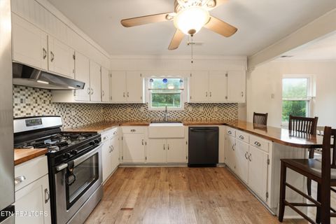 Tiny photo for 1119 County Road 130, Riceville, TN 37370 (MLS # 1340009)