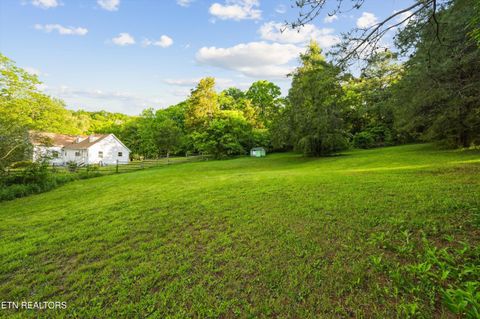 Tiny photo for 1119 County Road 130, Riceville, TN 37370 (MLS # 1340009)