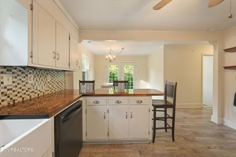 Tiny photo for 1119 County Road 130, Riceville, TN 37370 (MLS # 1340009)