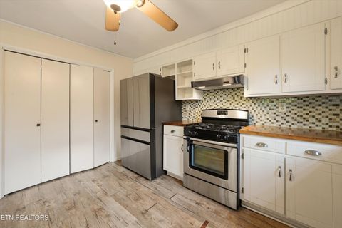 Tiny photo for 1119 County Road 130, Riceville, TN 37370 (MLS # 1340009)