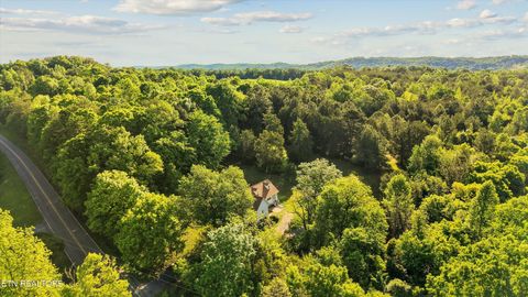 Tiny photo for 1119 County Road 130, Riceville, TN 37370 (MLS # 1340009)
