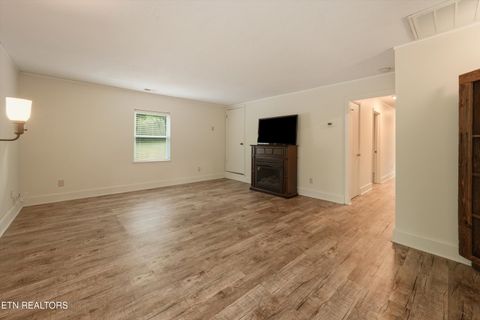 Tiny photo for 1119 County Road 130, Riceville, TN 37370 (MLS # 1340009)