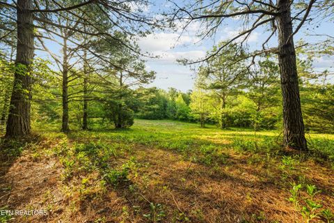 Tiny photo for 1119 County Road 130, Riceville, TN 37370 (MLS # 1340009)