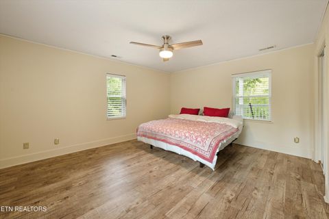 Tiny photo for 1119 County Road 130, Riceville, TN 37370 (MLS # 1340009)
