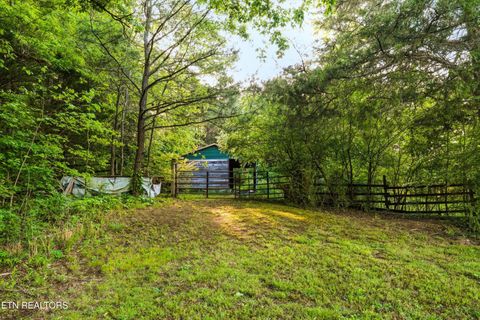 Tiny photo for 1119 County Road 130, Riceville, TN 37370 (MLS # 1340009)