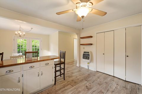 Tiny photo for 1119 County Road 130, Riceville, TN 37370 (MLS # 1340009)