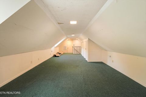Tiny photo for 1119 County Road 130, Riceville, TN 37370 (MLS # 1340009)