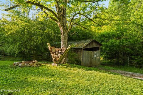 Tiny photo for 1119 County Road 130, Riceville, TN 37370 (MLS # 1340009)