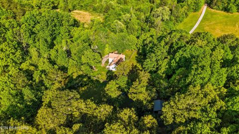 Tiny photo for 1119 County Road 130, Riceville, TN 37370 (MLS # 1340009)