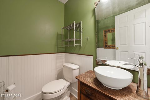 Tiny photo for 1119 County Road 130, Riceville, TN 37370 (MLS # 1340009)