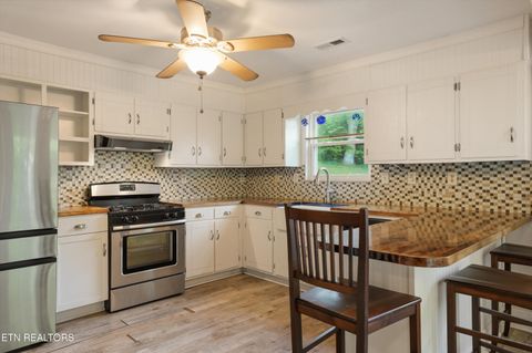 Tiny photo for 1119 County Road 130, Riceville, TN 37370 (MLS # 1340009)