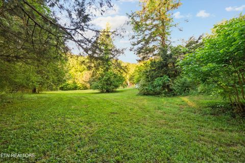 Tiny photo for 1119 County Road 130, Riceville, TN 37370 (MLS # 1340009)