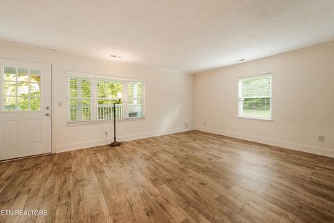 Tiny photo for 1119 County Road 130, Riceville, TN 37370 (MLS # 1340009)