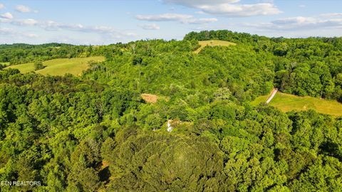 Tiny photo for 1119 County Road 130, Riceville, TN 37370 (MLS # 1340009)