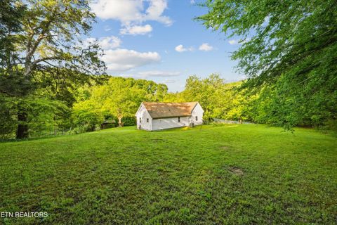 Tiny photo for 1119 County Road 130, Riceville, TN 37370 (MLS # 1340009)