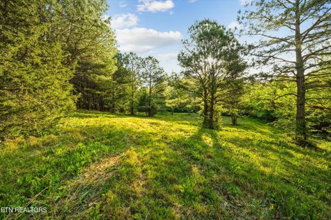 Tiny photo for 1119 County Road 130, Riceville, TN 37370 (MLS # 1340009)