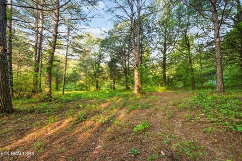 Tiny photo for 1119 County Road 130, Riceville, TN 37370 (MLS # 1340009)