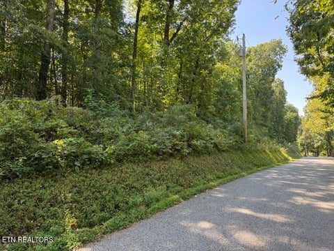 Tiny photo for Powder Mill Lane, LaFollette, TN 37766 (MLS # 1355712)