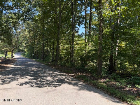 Tiny photo for Powder Mill Lane, LaFollette, TN 37766 (MLS # 1355712)