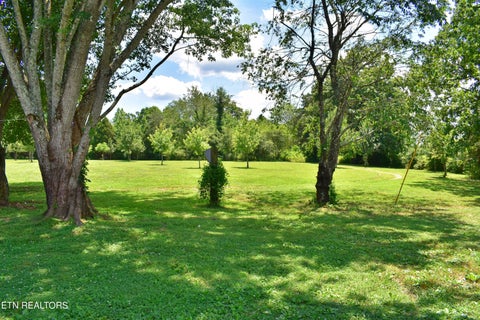 Tiny photo for 5858 Wolf Creek Rd, Spring City, TN 37381 (MLS # 1346362)