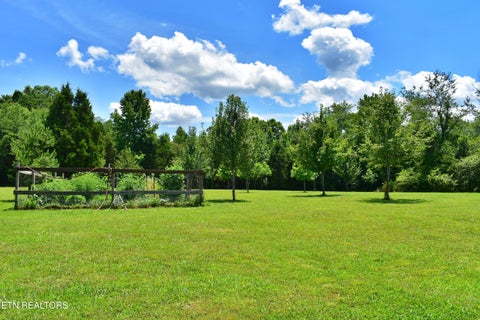 Tiny photo for 5858 Wolf Creek Rd, Spring City, TN 37381 (MLS # 1346362)