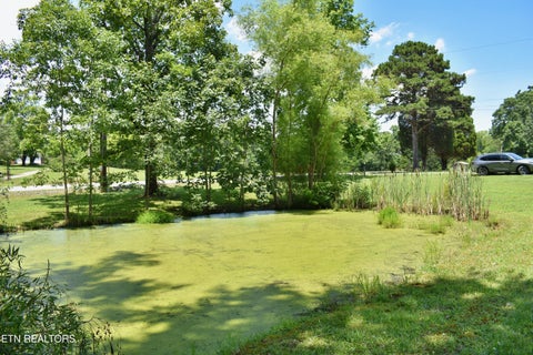 Tiny photo for 5858 Wolf Creek Rd, Spring City, TN 37381 (MLS # 1346362)