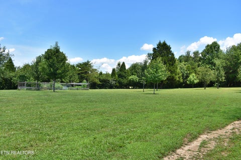 Tiny photo for 5858 Wolf Creek Rd, Spring City, TN 37381 (MLS # 1346362)