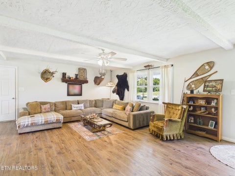 Tiny photo for 5858 Wolf Creek Rd, Spring City, TN 37381 (MLS # 1346362)