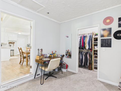 Tiny photo for 5858 Wolf Creek Rd, Spring City, TN 37381 (MLS # 1346362)