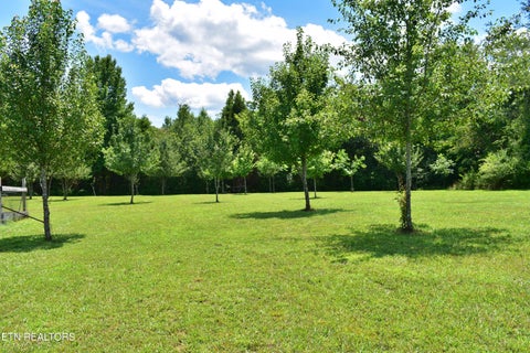 Tiny photo for 5858 Wolf Creek Rd, Spring City, TN 37381 (MLS # 1346362)