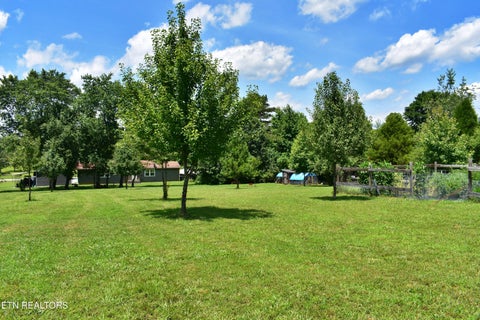 Tiny photo for 5858 Wolf Creek Rd, Spring City, TN 37381 (MLS # 1346362)