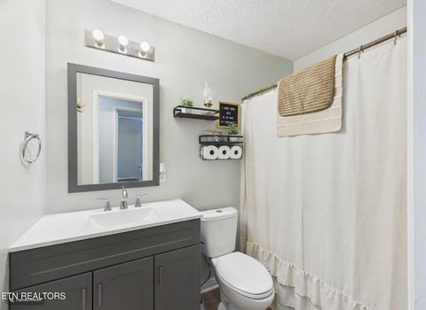 Tiny photo for 5858 Wolf Creek Rd, Spring City, TN 37381 (MLS # 1346362)